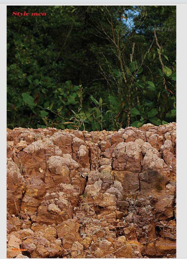 PHOTO-SET--Style-Men-X-15---Vietnamese-Go-Go-Boy-Tomas